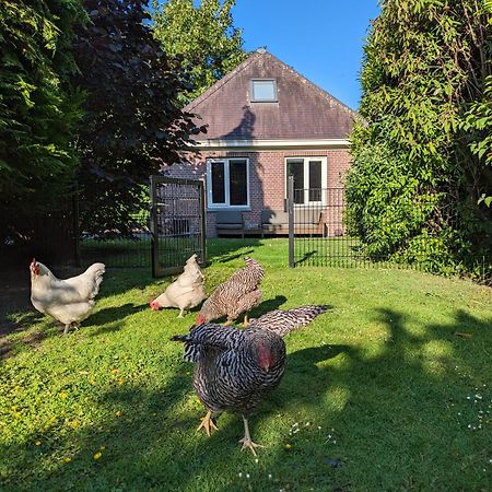 Boutique B&B Villa Van Voss Etten-Leur Exterior foto